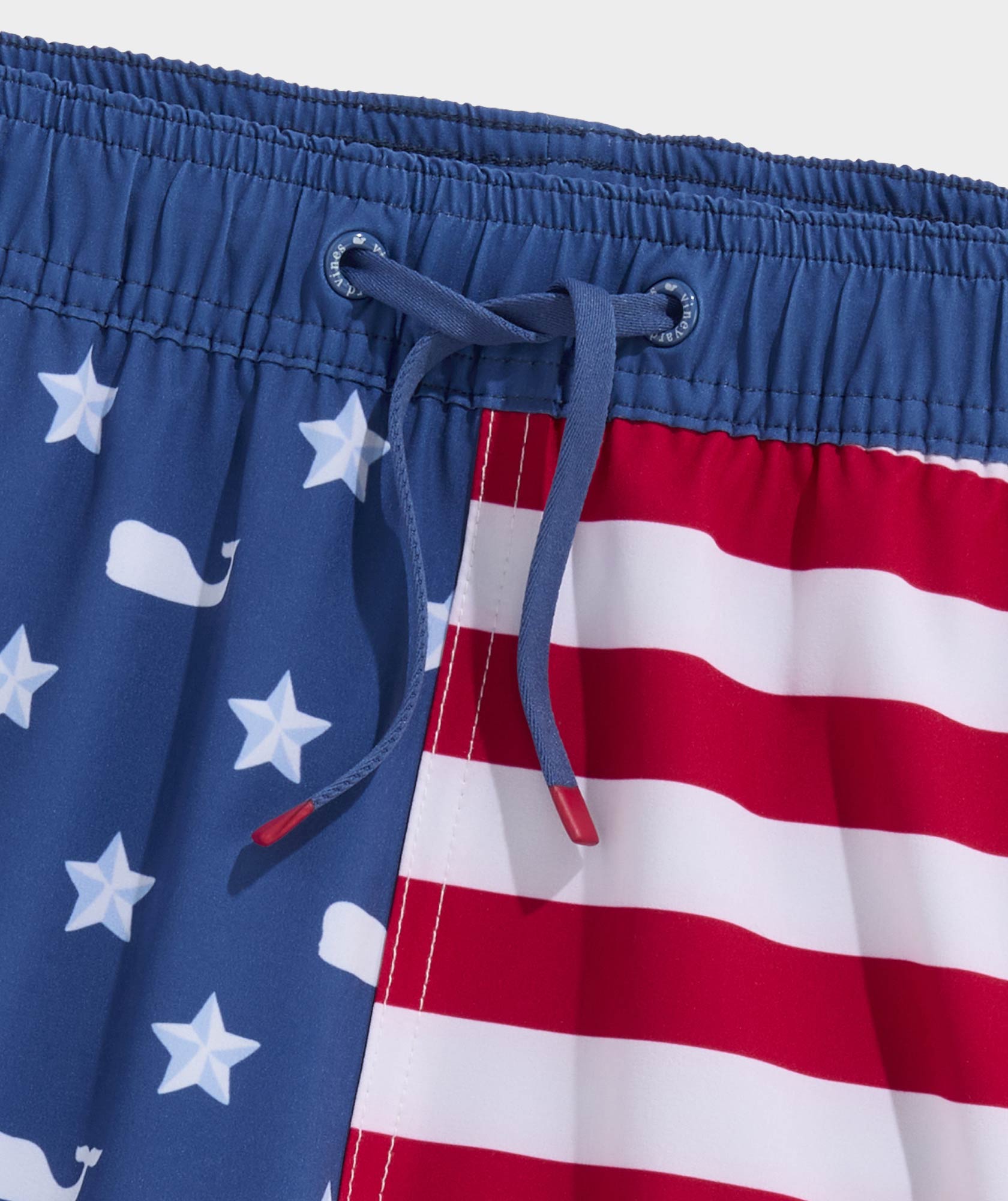 Boys' Printed Chappy Swim Trunks
