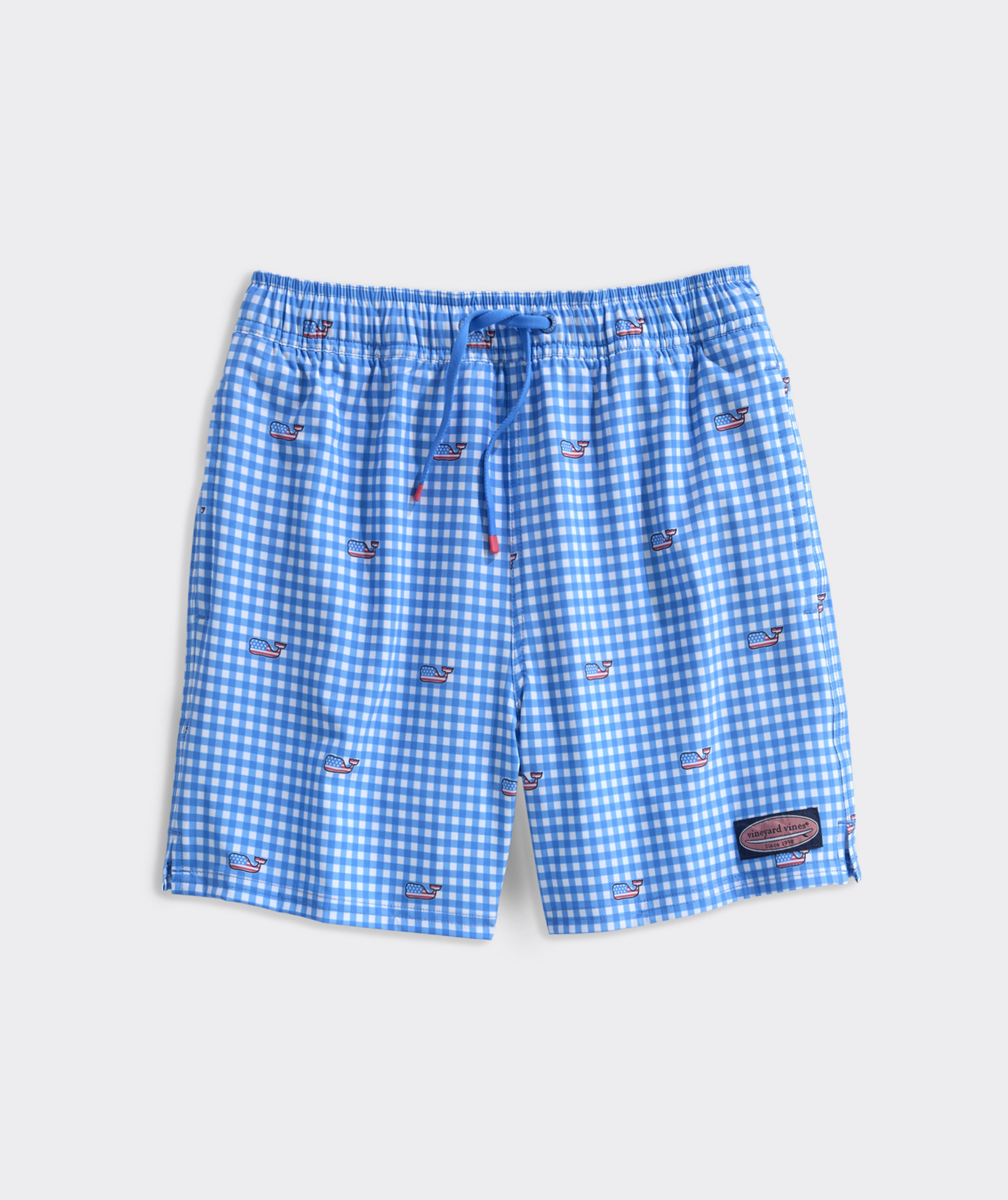 Boys' Printed Chappy Swim Trunks