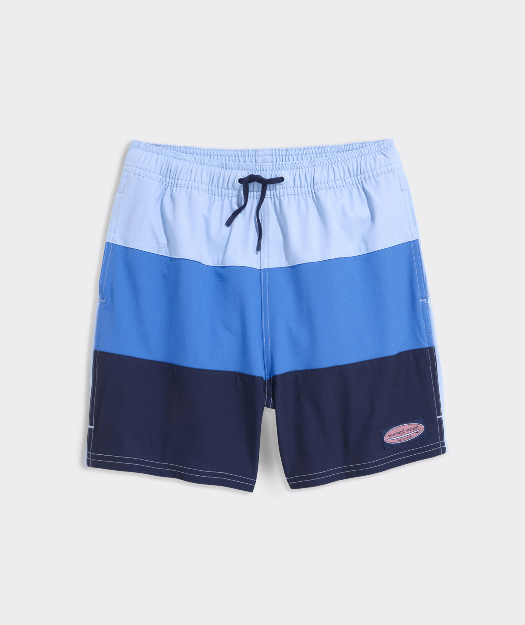 10910-boys-colorblock-chappy-swim-trunks-1.jpg