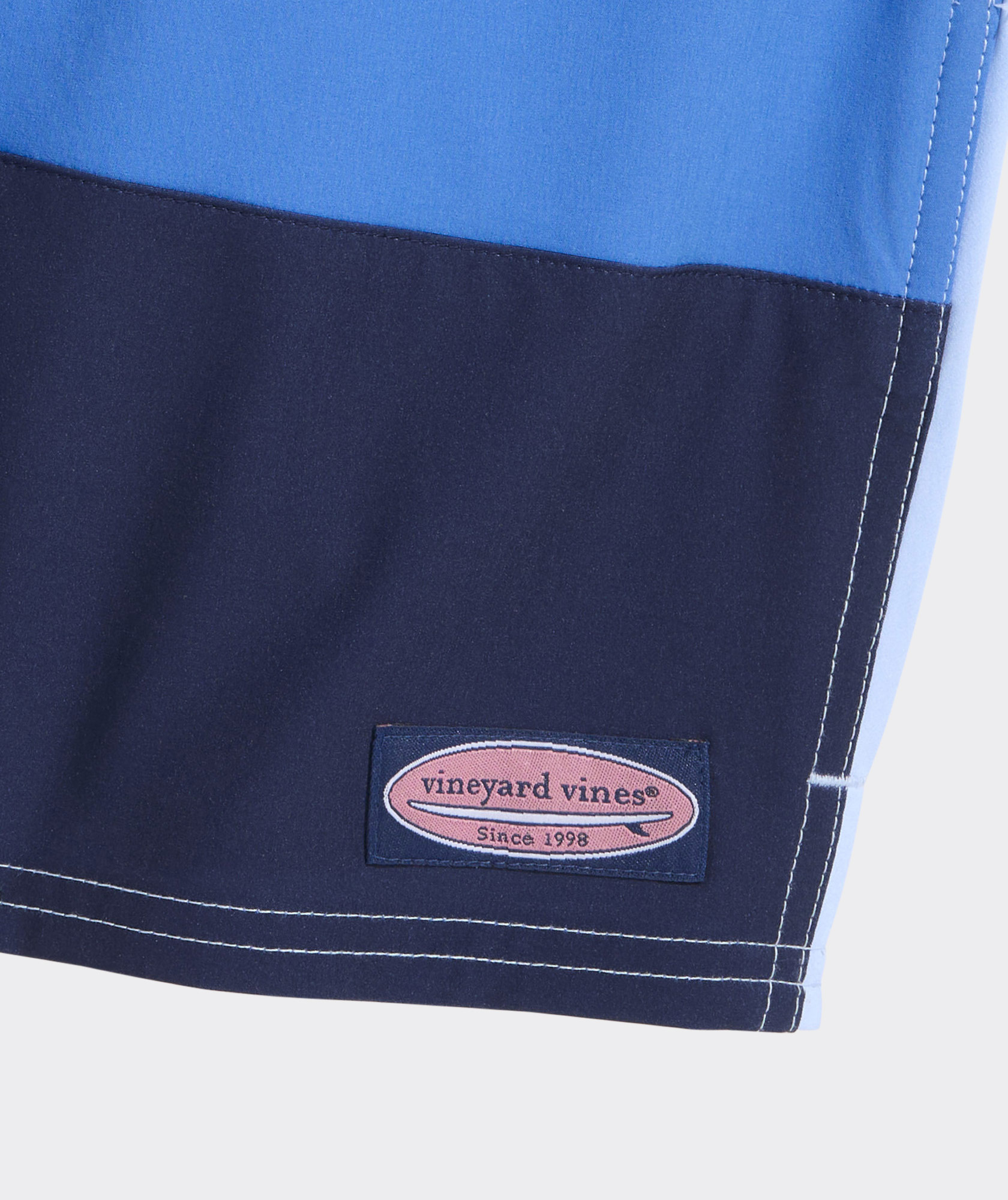10910-boys-colorblock-chappy-swim-trunks-1.jpg