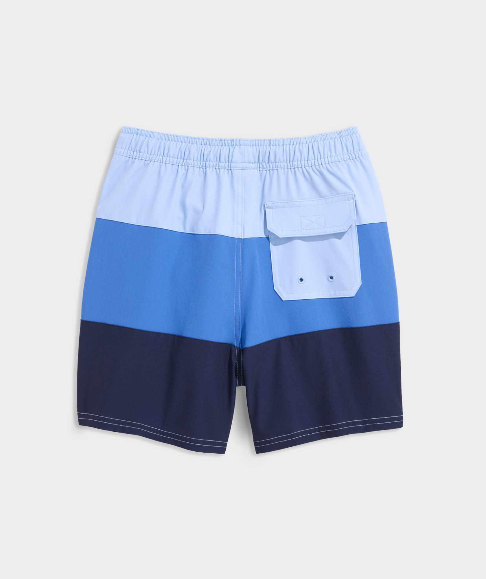 10910-boys-colorblock-chappy-swim-trunks-1.jpg