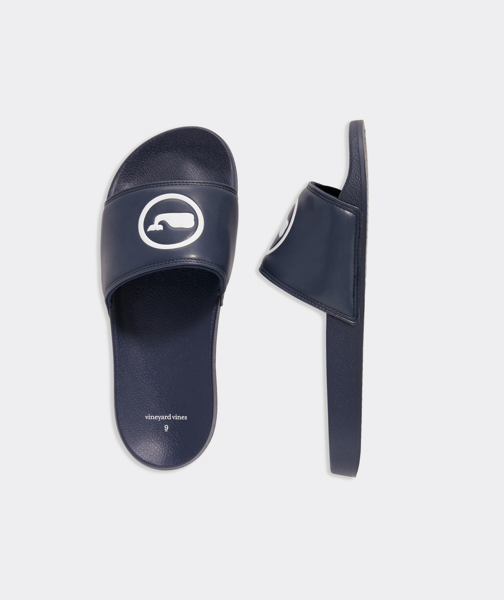 Whale Dot Pool Slides