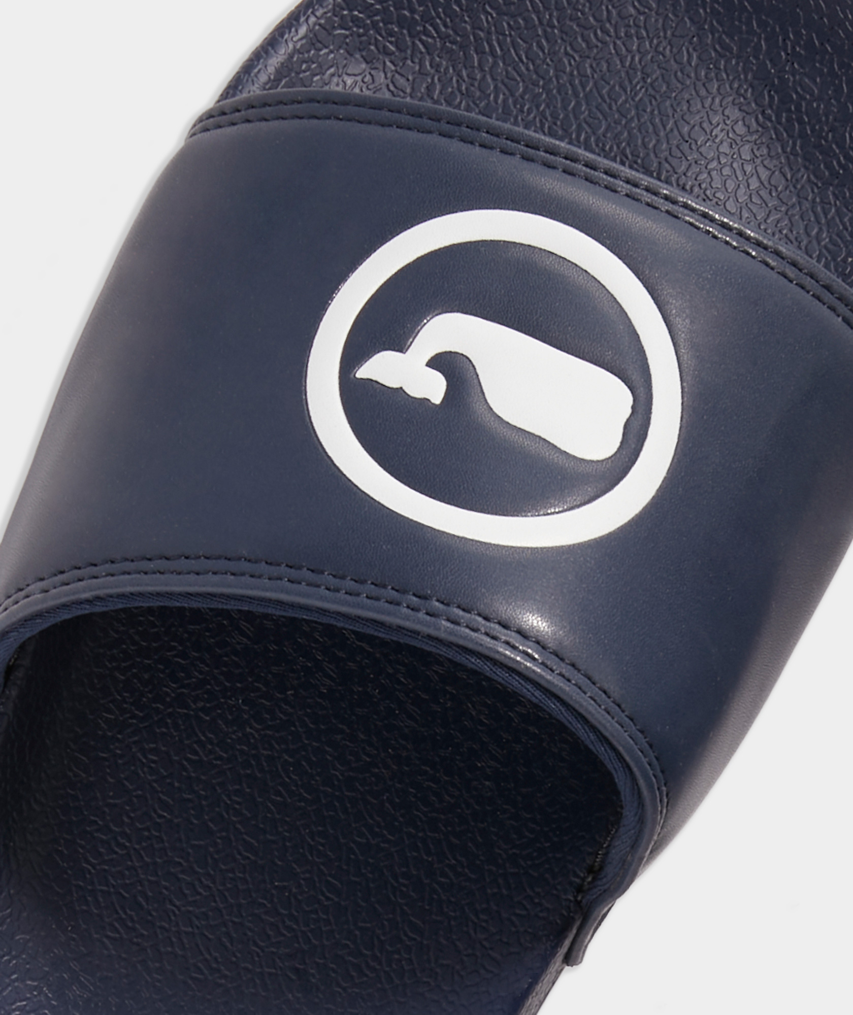 Whale Dot Pool Slides