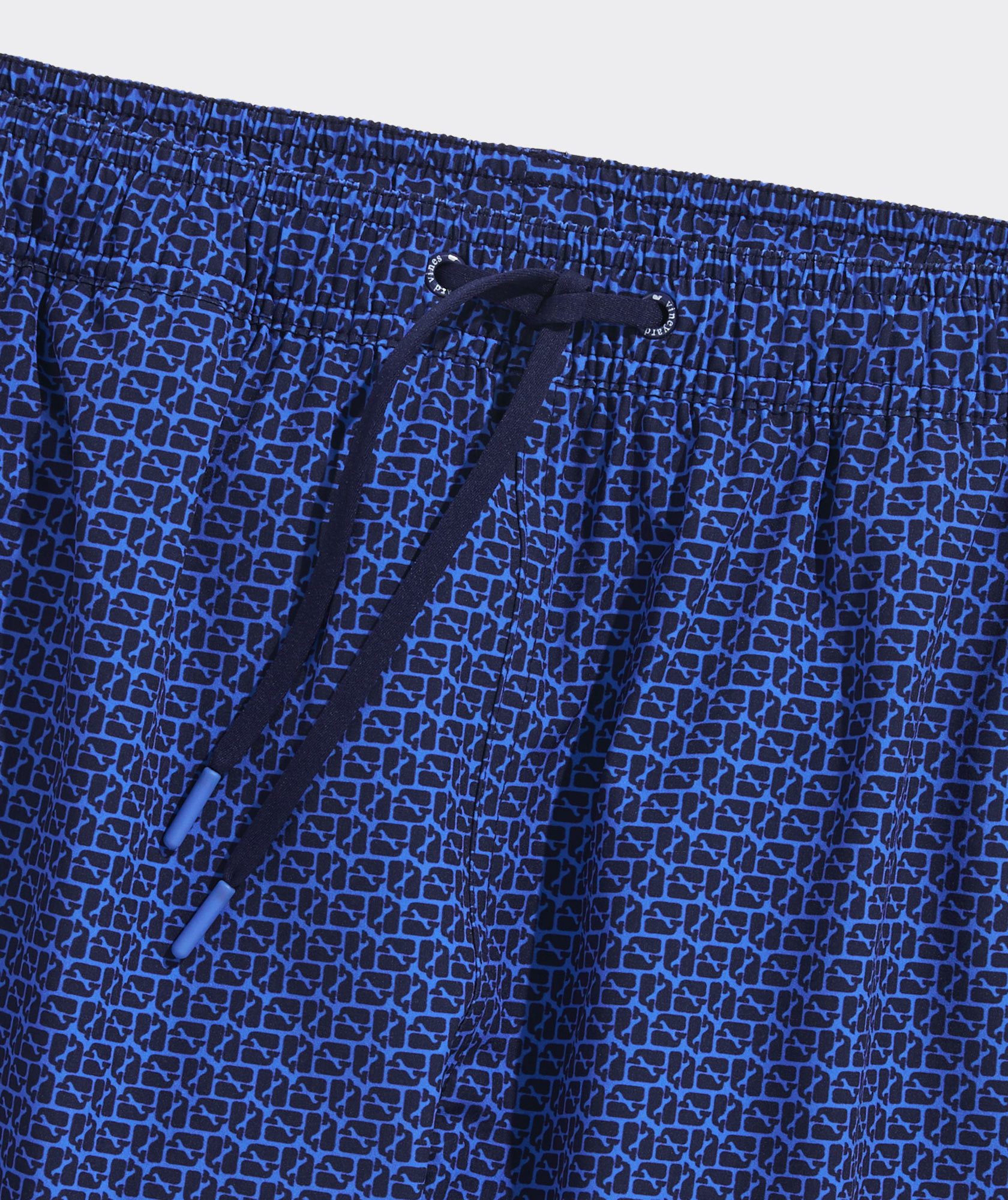 7 Inch Printed Chappy Swim Trunks