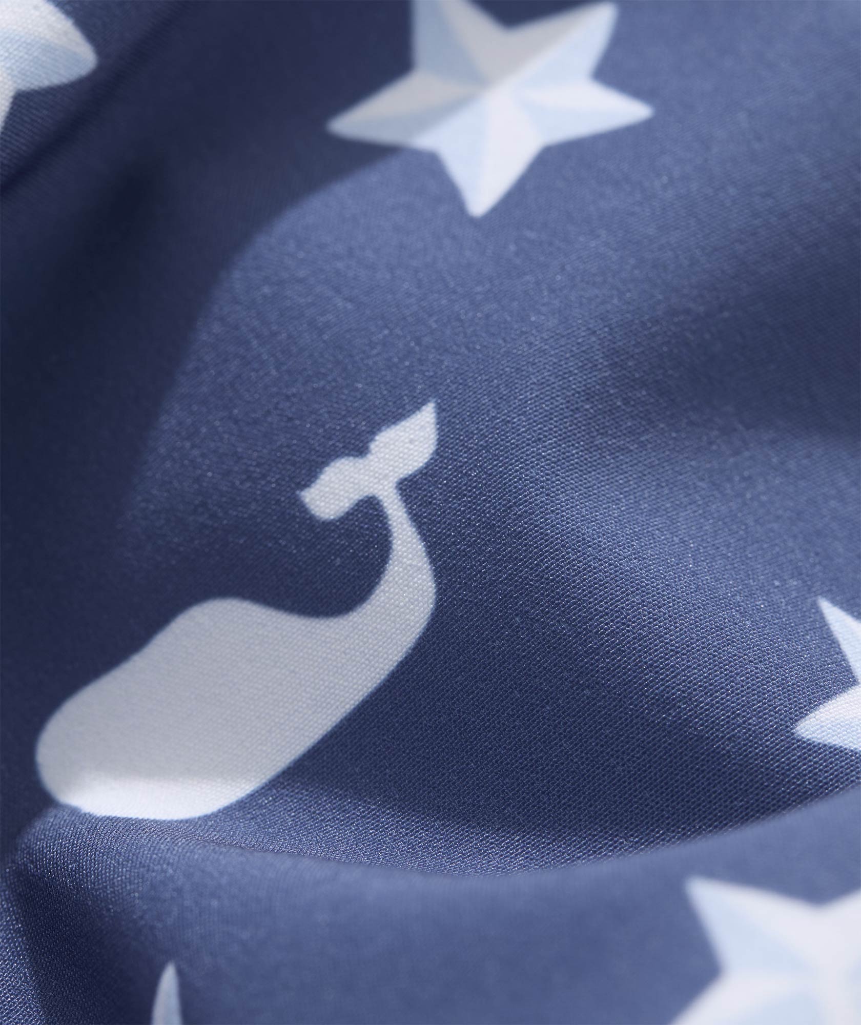 12686-7-inch-printed-chappy-swim-trunks-flag-moonshine-l-variation-1.jpg