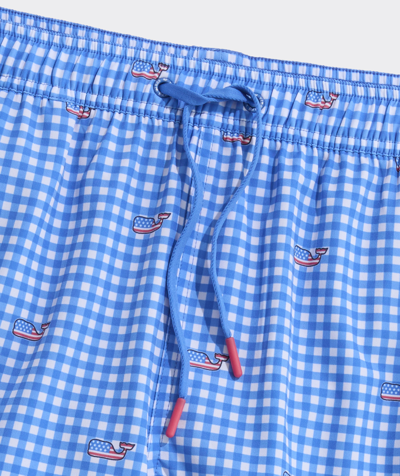 7 Inch Printed Chappy Swim Trunks