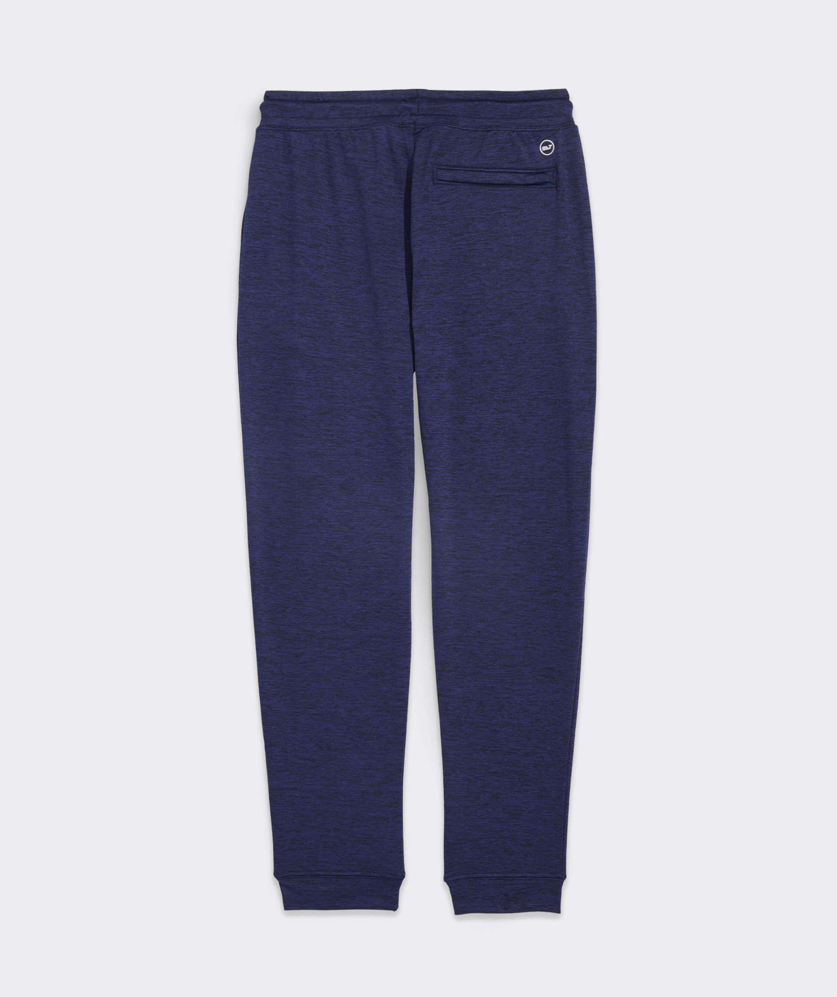 2473-boys-performance-joggers-deep-bay-heather-6-variation-1.jpg