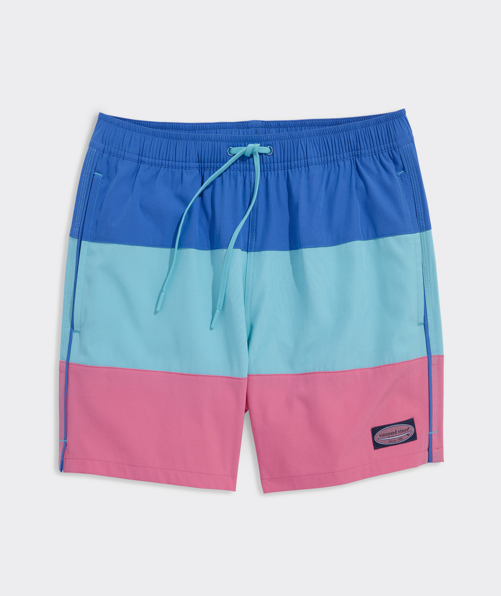 5 Inch Colorblock Chappy Swim Trunks
