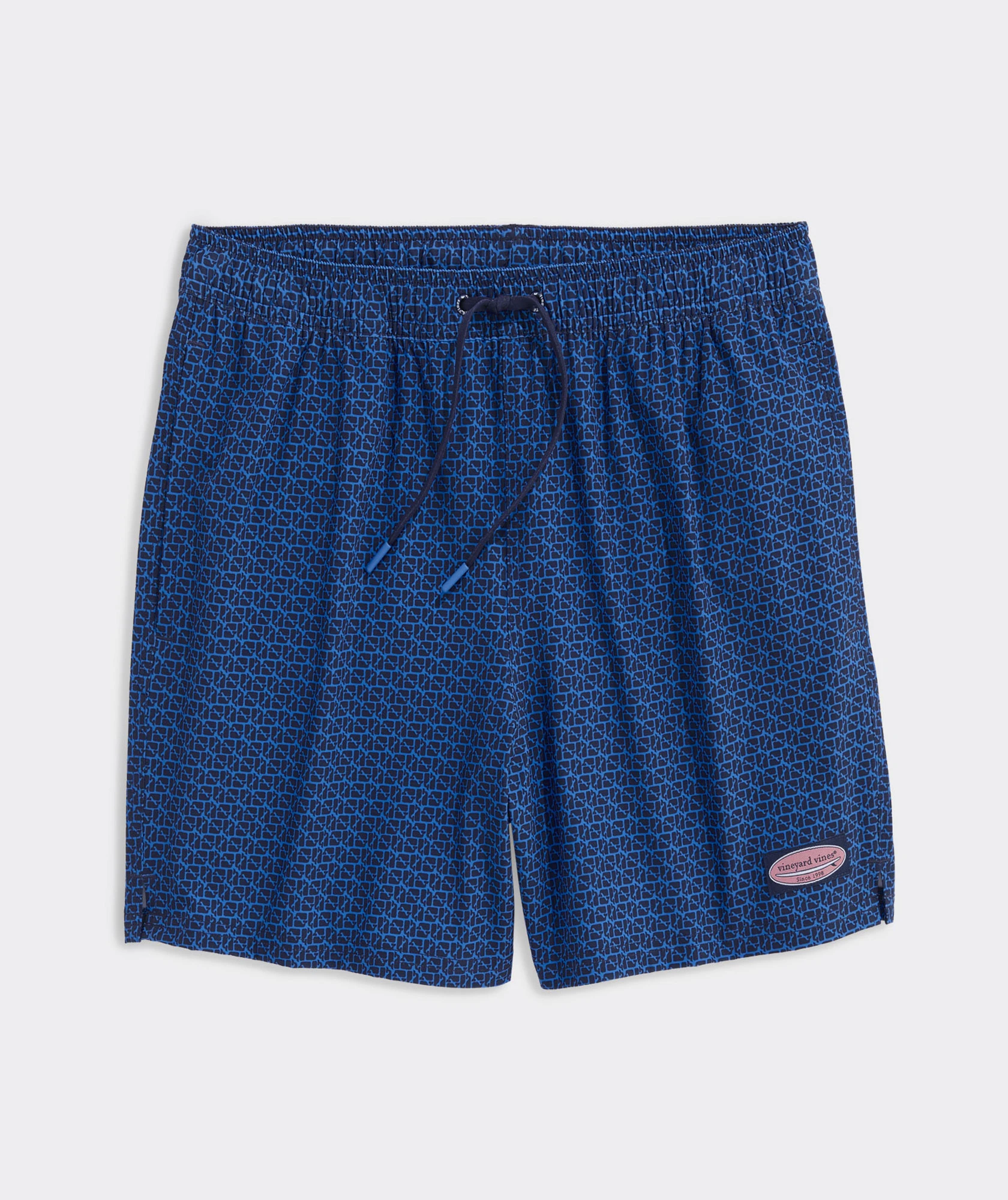5 Inch Printed Chappy Swim Trunks