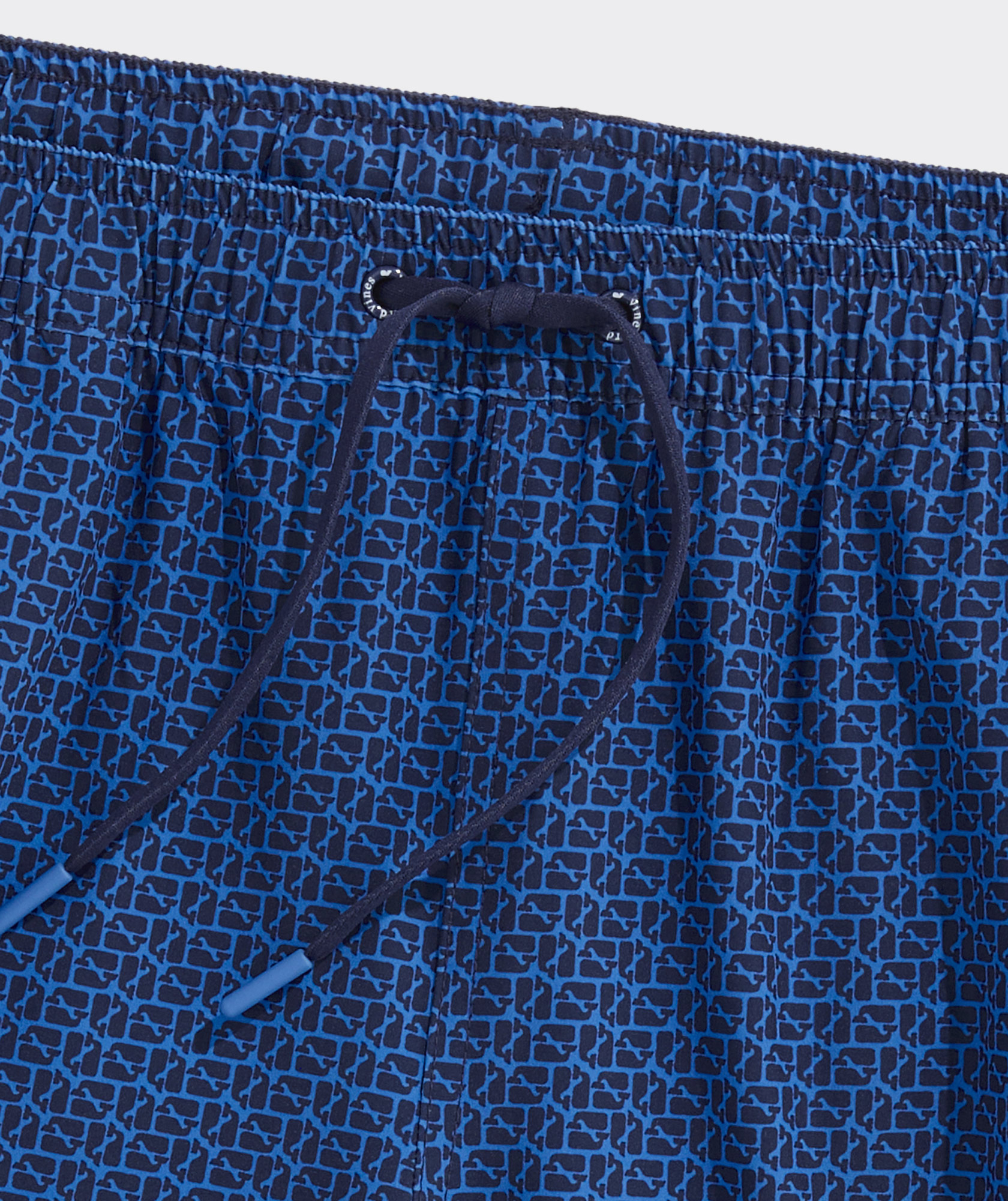 5 Inch Printed Chappy Swim Trunks