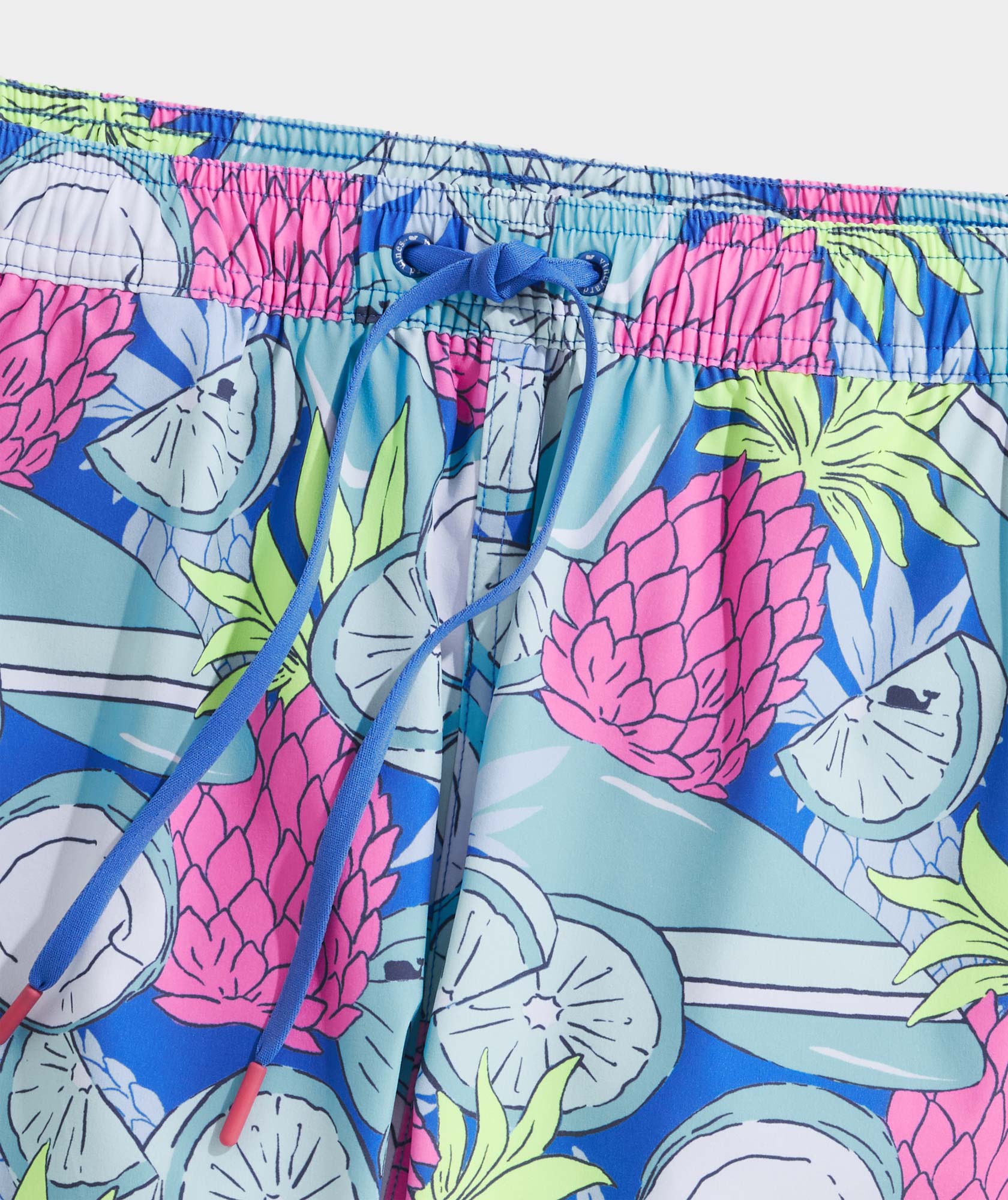 5 Inch Printed Chappy Swim Trunks