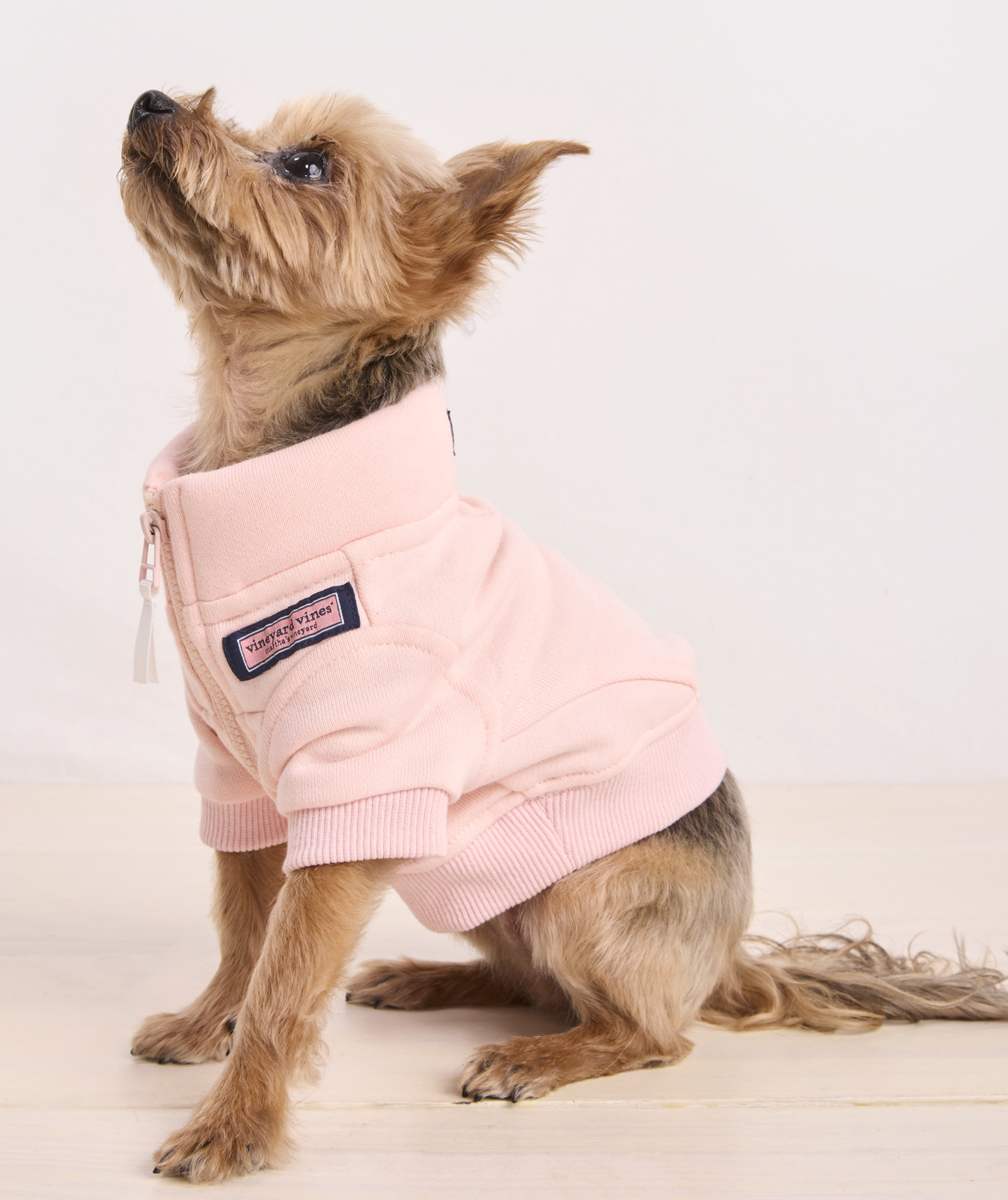 45478-pet-shep-shirt–1.jpg
