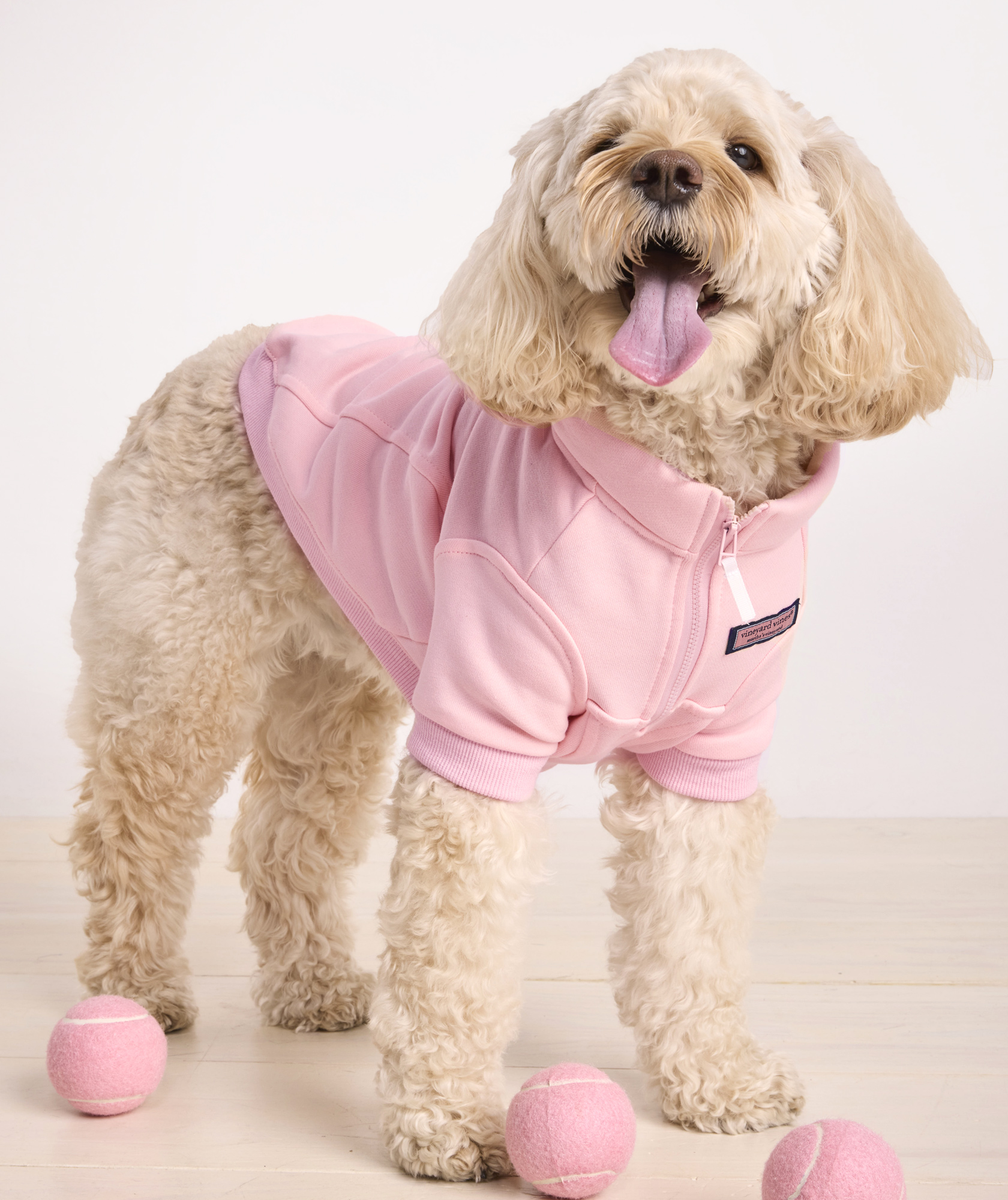 45478-pet-shep-shirt–1.jpg