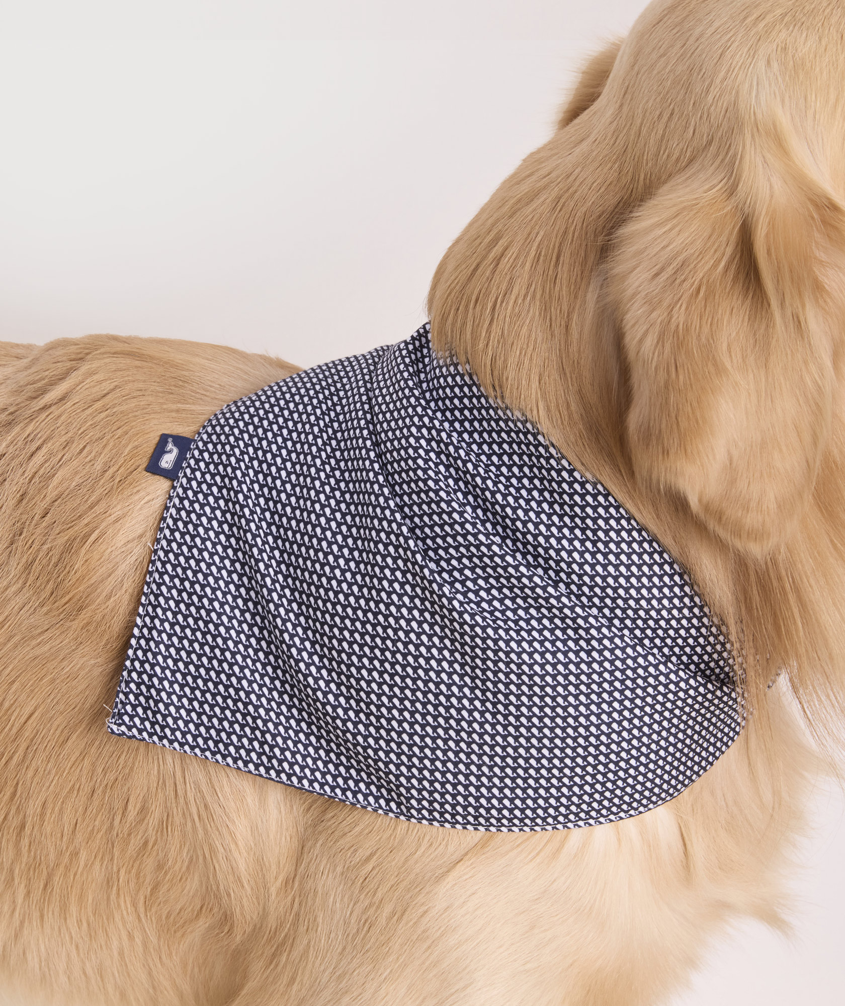 45509-micro-whale-pet-bandana-1.jpg