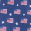 9915-boys-printed-chappy-swim-trunks-flag-stars-moonshine-xl-variation-1.jpg