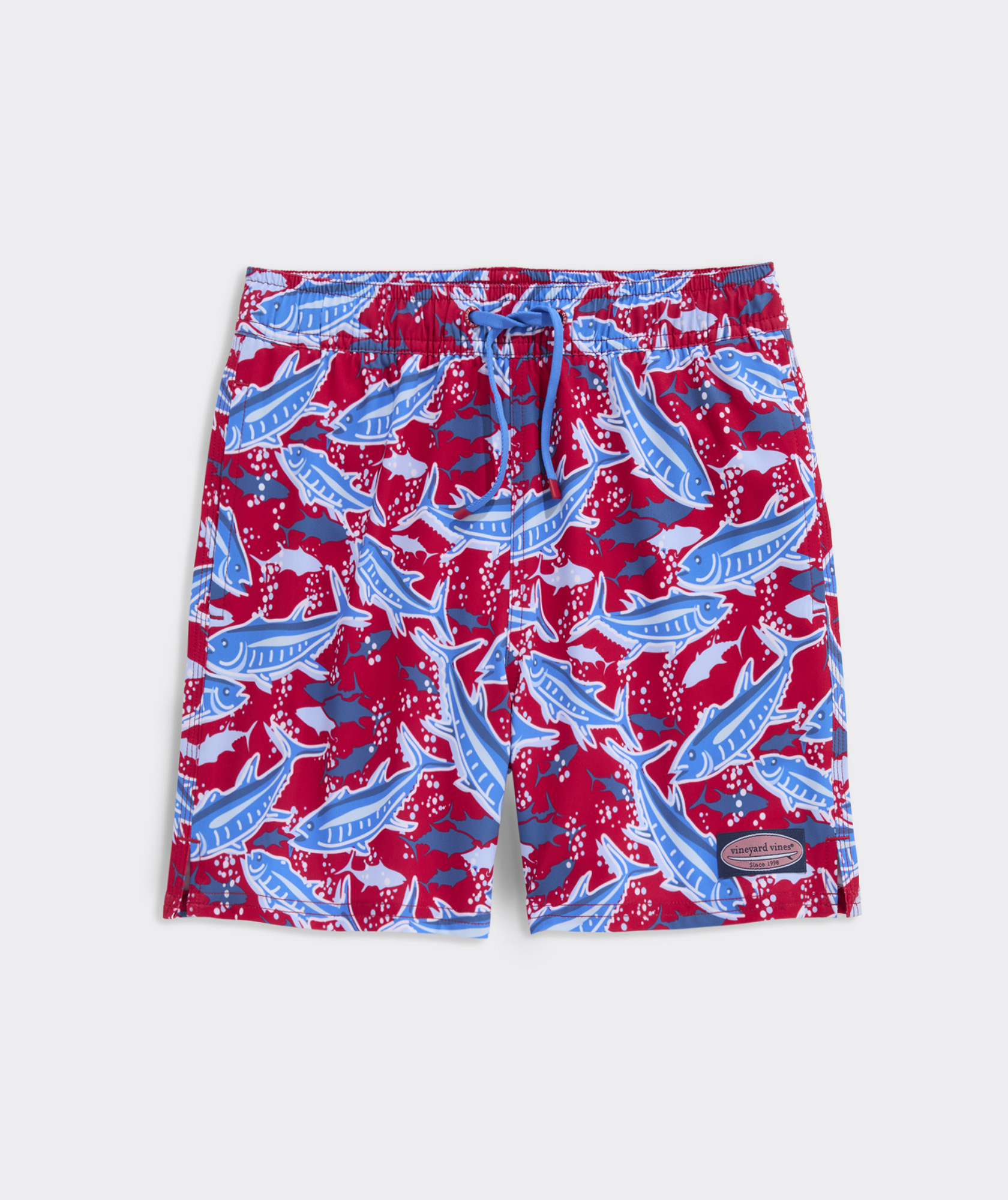Boys' Printed Chappy Swim Trunks