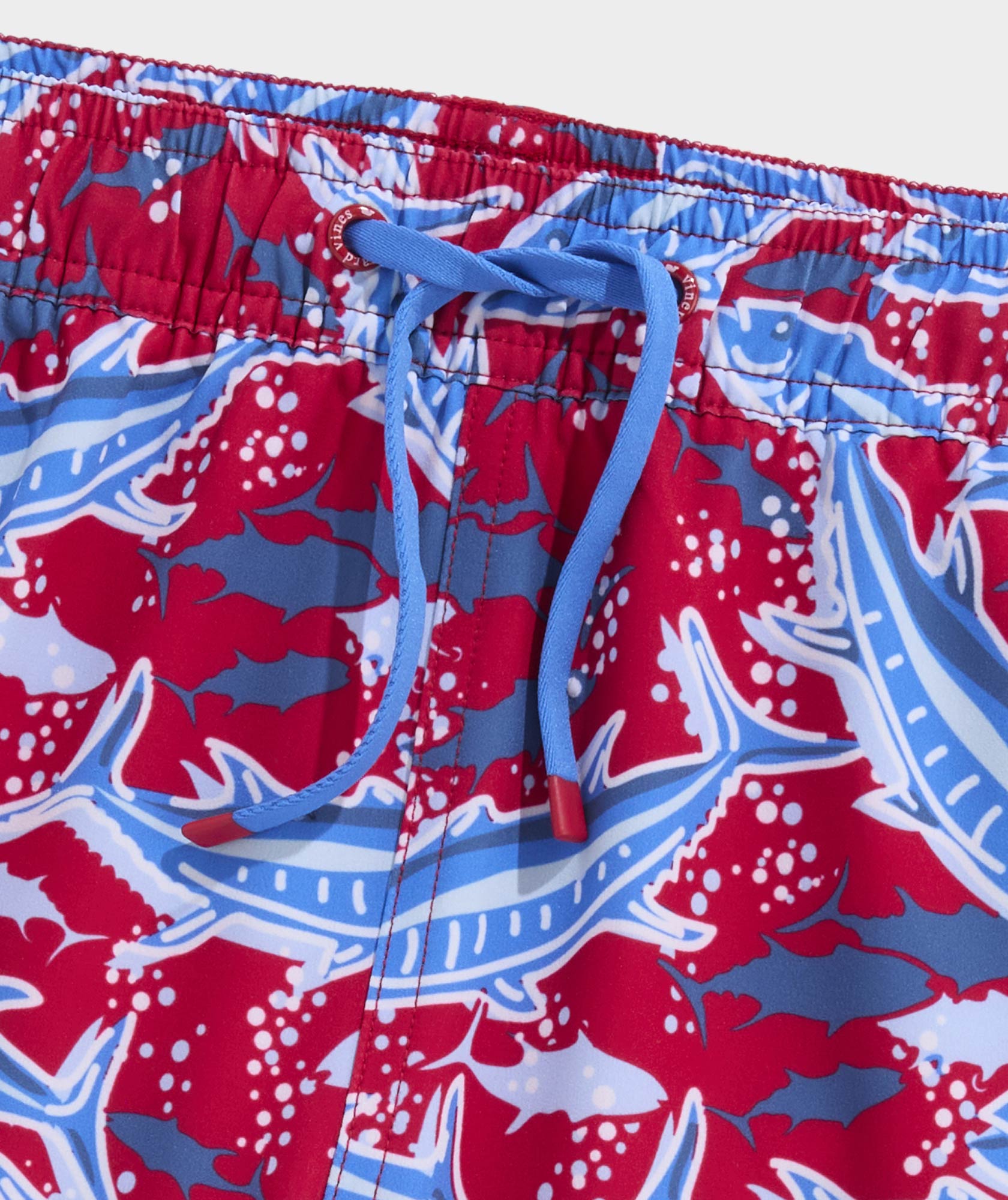 Boys' Printed Chappy Swim Trunks