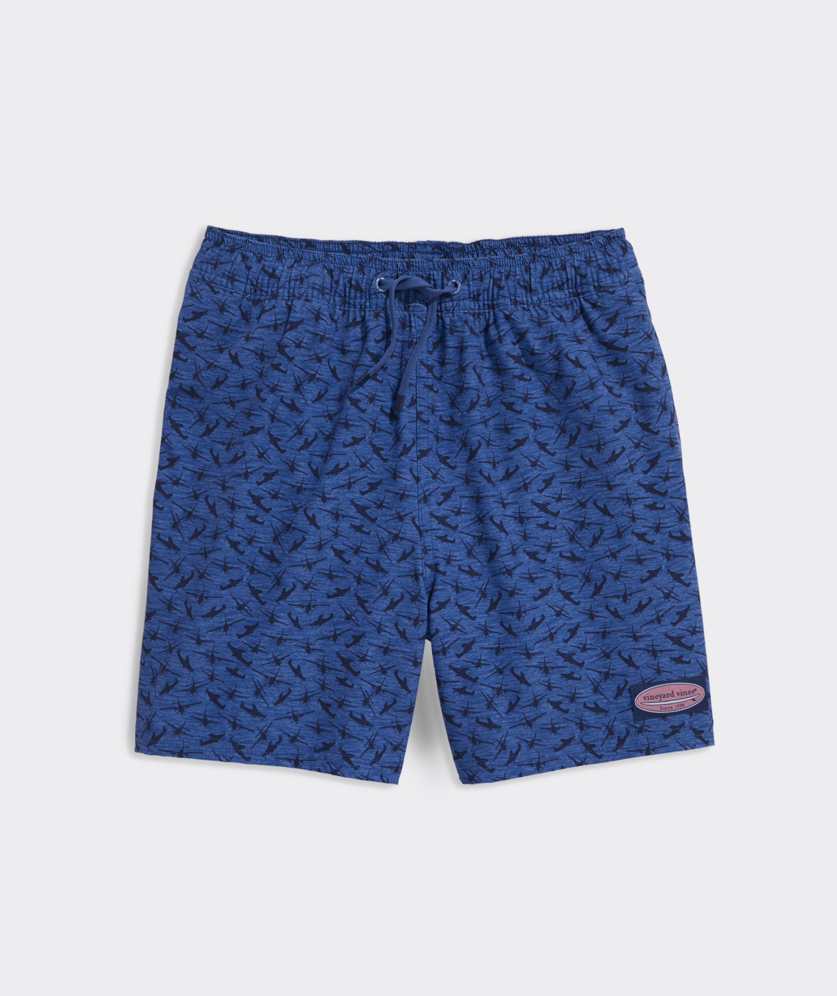 Boys' Printed Chappy Swim Trunks