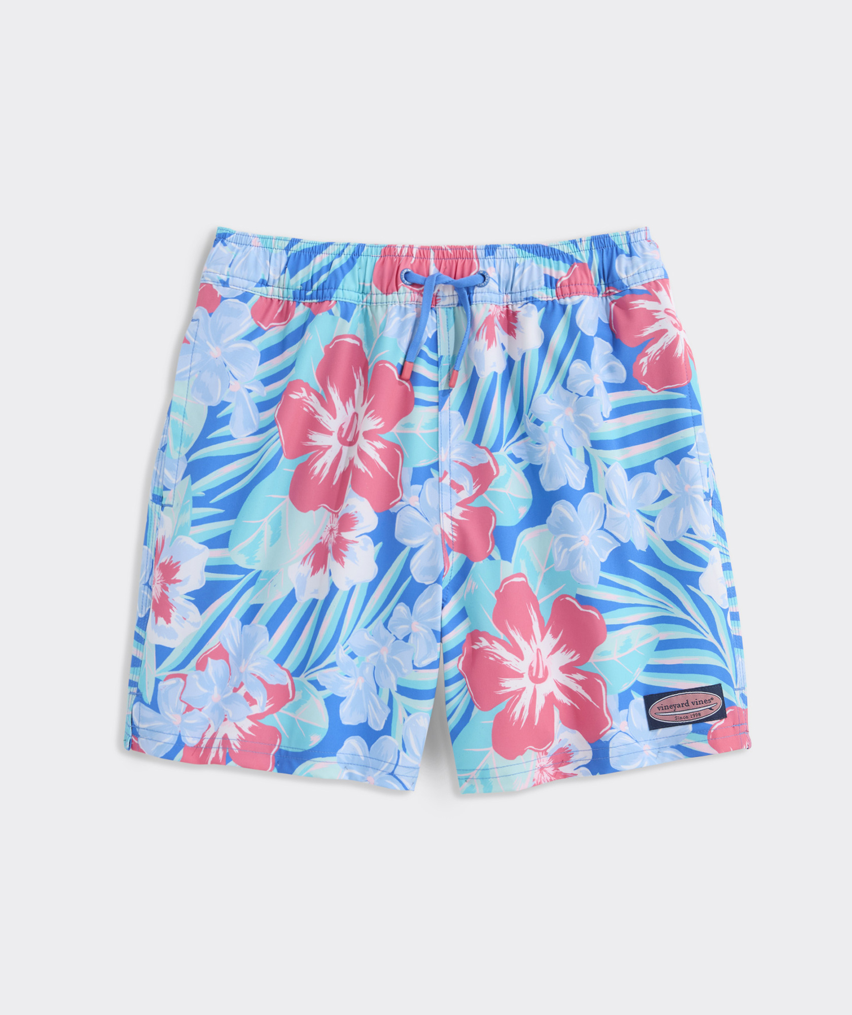 Boys' Printed Chappy Swim Trunks