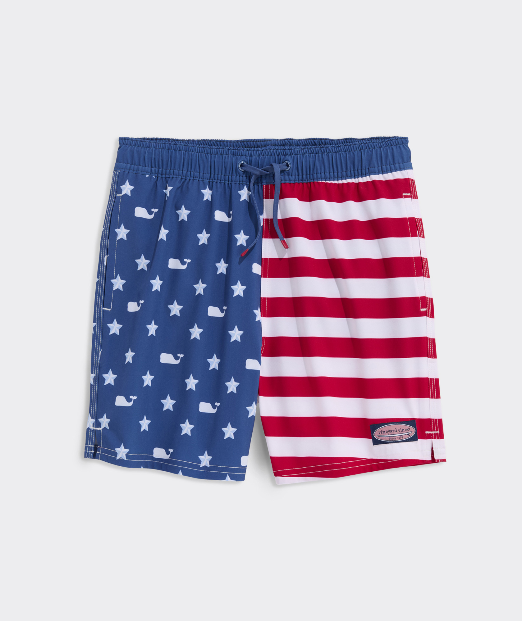 Boys' Printed Chappy Swim Trunks