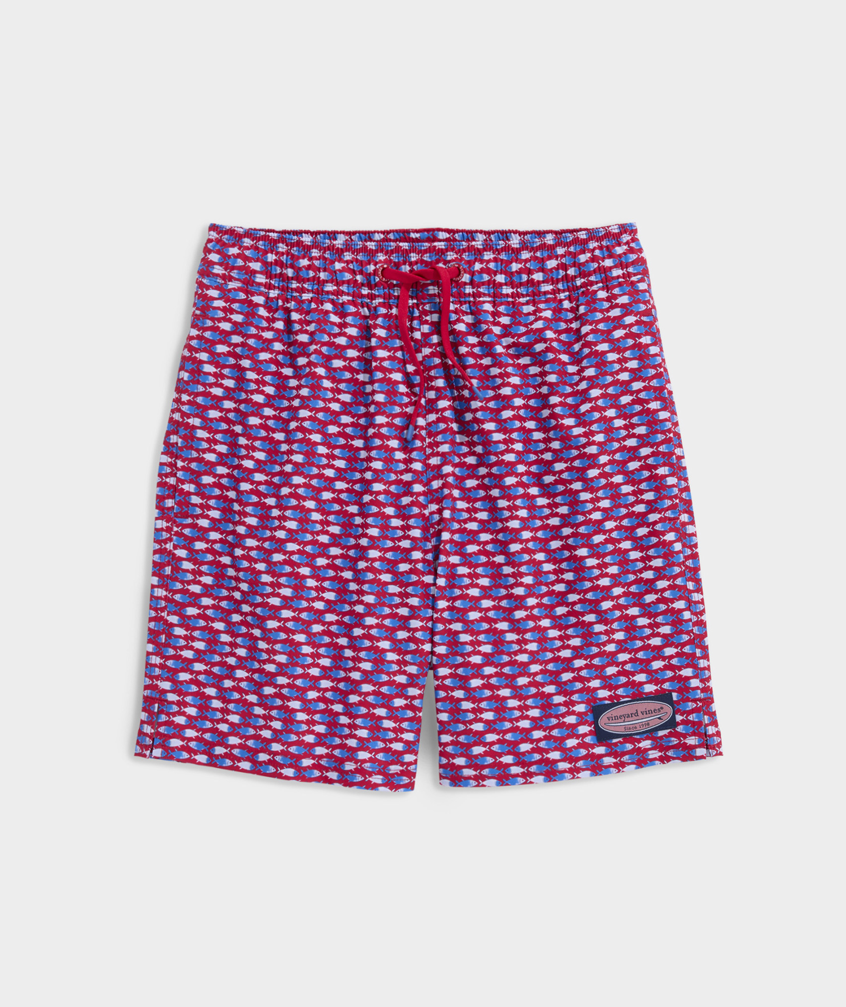 Boys' Printed Chappy Swim Trunks