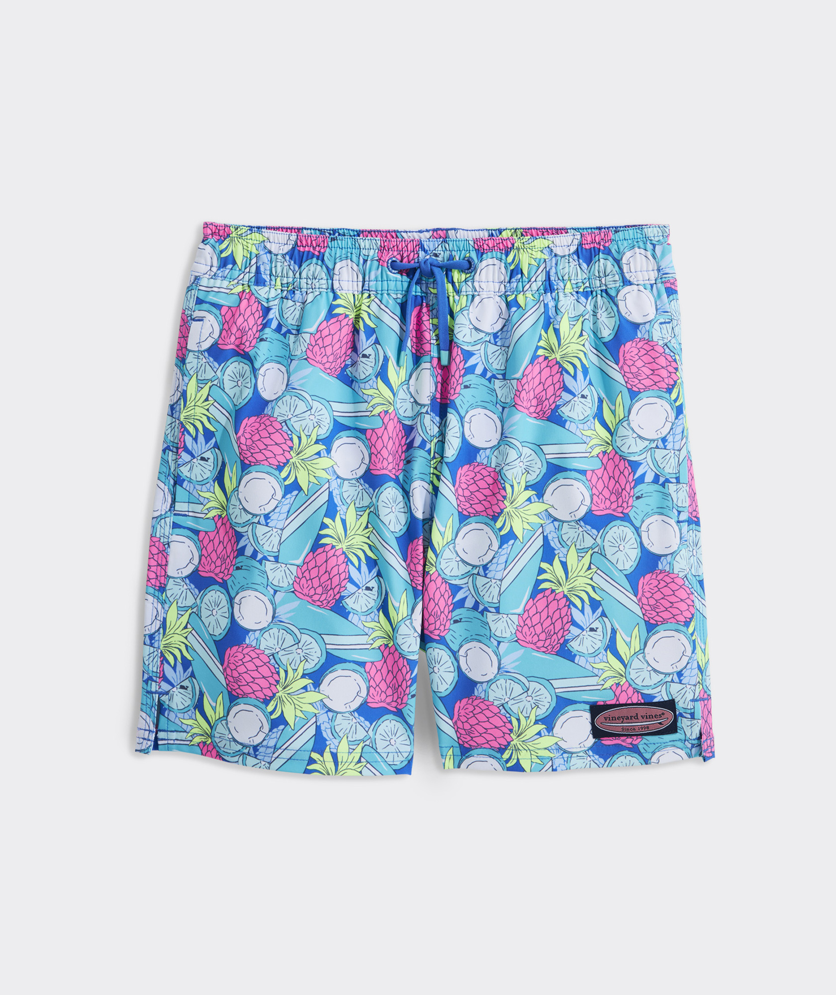Boys' Printed Chappy Swim Trunks