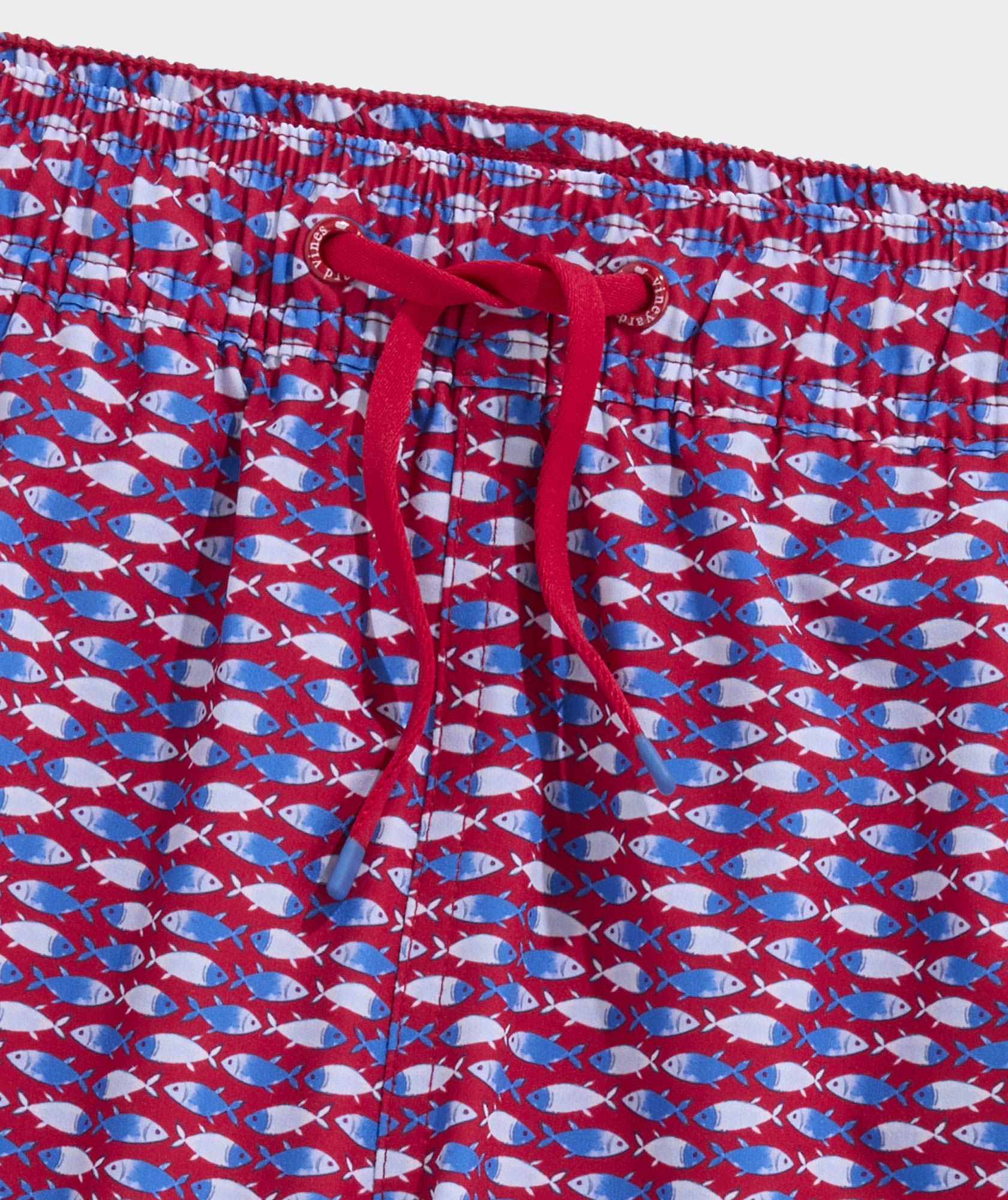 Boys' Printed Chappy Swim Trunks